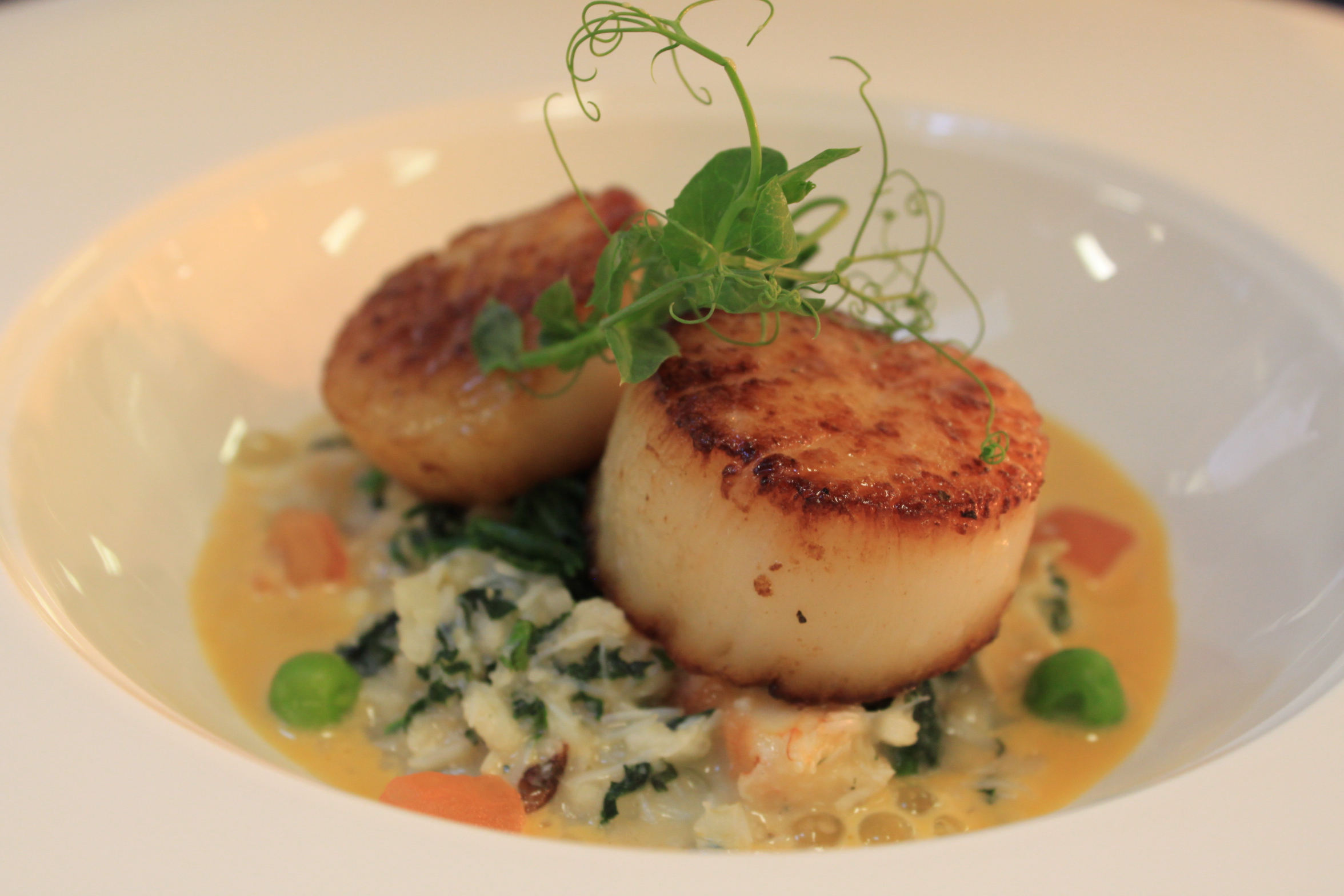 Food Image